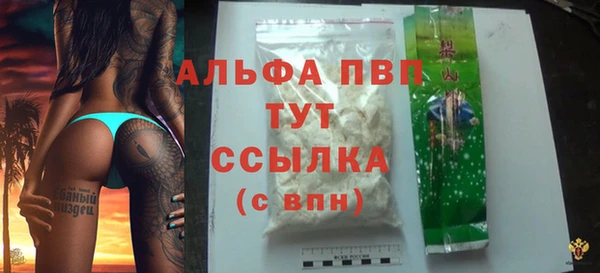 индика Арсеньев