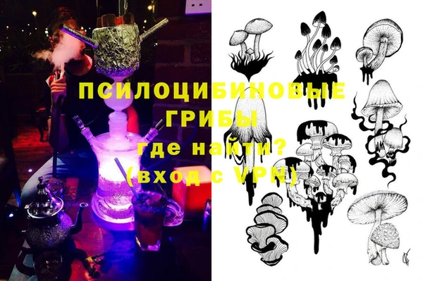 сатива Армянск