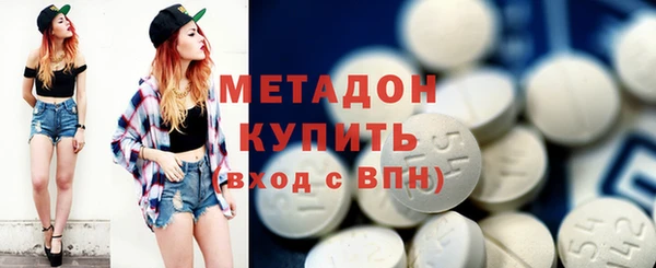 индика Арсеньев