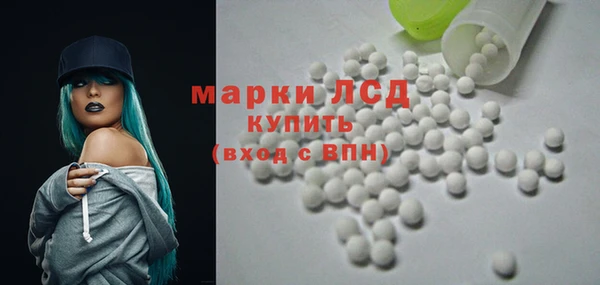 индика Арсеньев