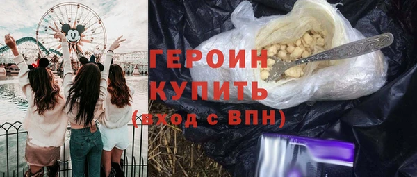 индика Арсеньев