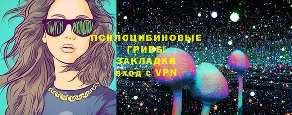 сатива Армянск