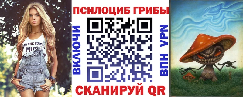 Псилоцибиновые грибы мицелий  Купить закладки  Змеиногорск 